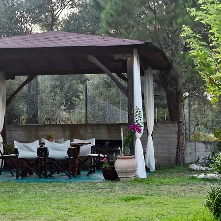 Artemis Όρμος Παναγιάς