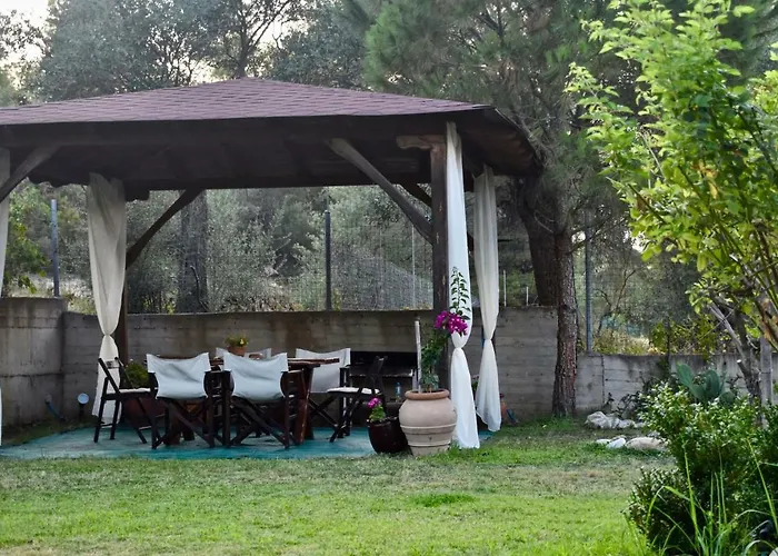 Artemis 奥马斯帕纳吉亚斯